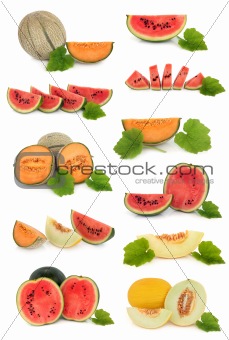 Melon Fruit Collection