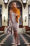 elegant fashion woman with shopping bag