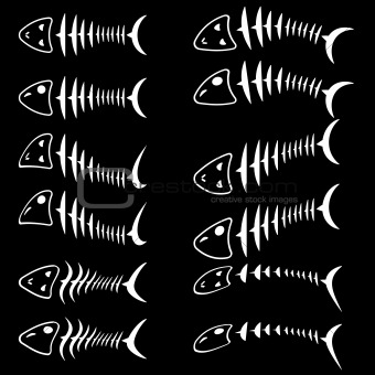 A set of fish skeletons. 