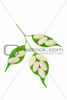 Natural supplement pills and fresh leaves