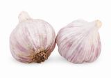Two purple garlic 