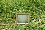 Old TV set among green plants