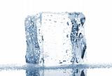 Single ice cube