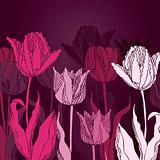Vector background with tulips