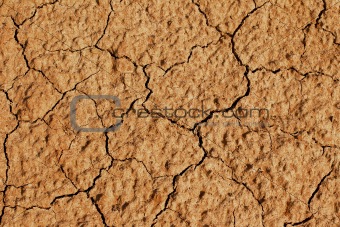 clay earth in cracks from a drought