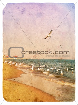 Seascape with seagulls. Old postcard