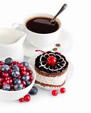 chocolate cake with berries