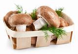 fresh mushrooms in basket with leaves dill