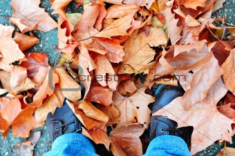 Dried leaves around shoes