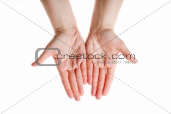 Woman palms