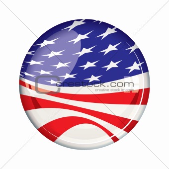 Vote 2012 American badge