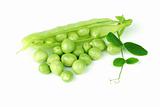 Pea isolated on white