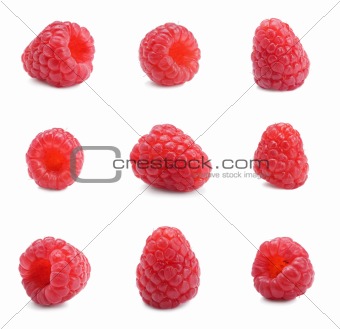 Fresh ripe red raspberries