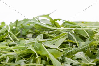 Ruccola salad fresh heap leaf isolated on white 