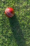 Cricket Ball On Grass