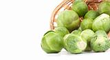 brussels sprouts on white background