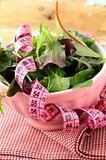 mix salad (arugula, iceberg, red beet) with a pink measuring tape