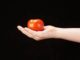 Childs hand with tomatoe and palm facing up