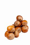 Brown Hazelnuts