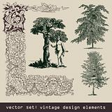 set of design elements - tree, eva, frame, border