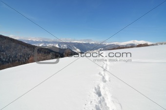 Tracks in deep snow