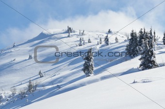 Winter calm mountain landscape with snow covered firs