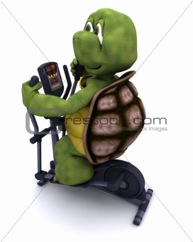 tortoise runnning on a cross trainer