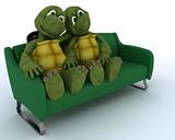 tortoise on a sofa