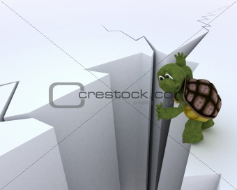 tortoise on a cliff edge