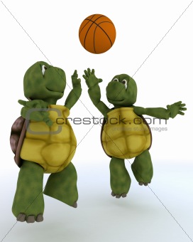 tortoises playing basket ball