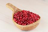 ripe cranberry in wooden bowl on the table
