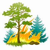 wildfire disaster with burning forest tree and firtrees