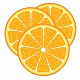 Orange slice vector