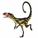 Dilong Dinosaur01