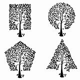 Trees of different geometric shapes. 