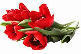 Spring flower - bouquet of red tulips.