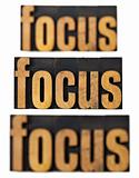 focus concept in wood type