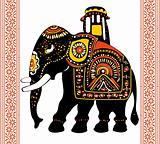 Festive indian elephant
