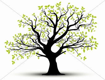 vector - decorative tree and green leaves