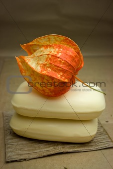 Soap and physalis