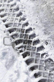 Tracks in Snow 