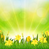 Flowers Easter Background