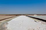 salt production in gujarat