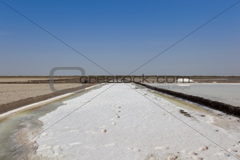 salt production in gujarat