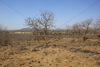 gujarat landscape