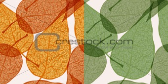 vector background with autumn leaves