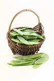 Sugar peas in a basket