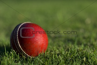 Red Cricket Ball On Grass