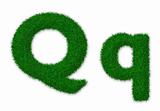 Grassy letter Q