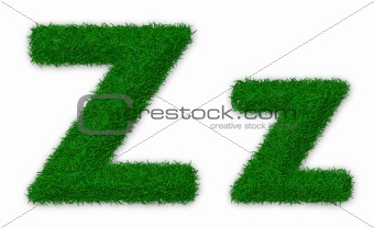 Grassy letter Z